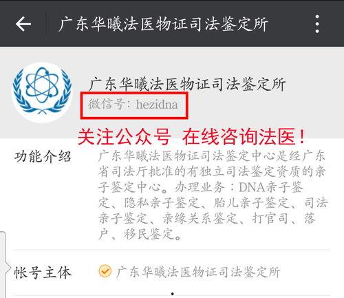 亲子鉴定视频,基因科技助力家庭真相大白