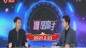 谁是高手双升视频,视频解析双升牌技巅峰对决