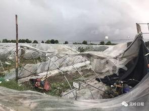 水龙卷风视频,壮观瞬间捕捉大自然奇观