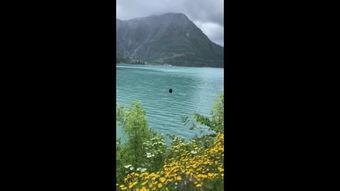 视频山水,探寻自然之美