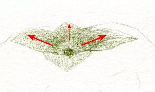 美术视频教程,从入门到精通