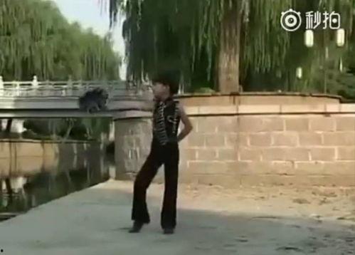 西瓜舞蹈视频,夏日活力四溢的动感旋律