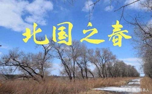 北国之春视频,探寻东北风光与民俗的美丽画卷