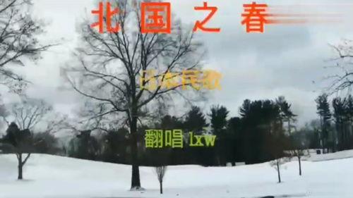 北国之春视频,探寻东北风光与民俗的美丽画卷