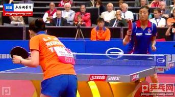 乒乓球赛视频,激情对决，技艺巅峰对决