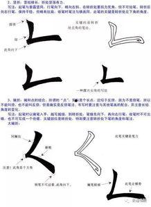 笔画视频教程,掌握汉字笔画之美——笔画视频教程概述