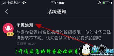 怎么录抖音视频,轻松掌握短视频制作技巧