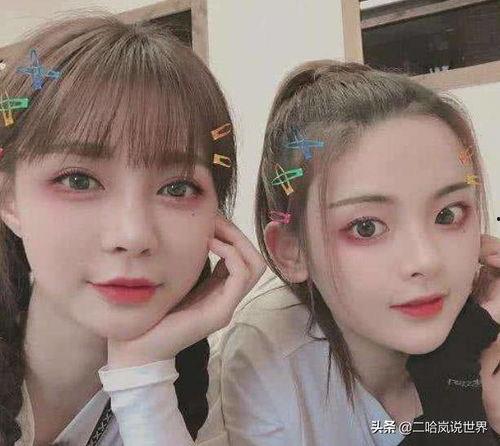 欣杨视频,揭秘生活点滴，畅享视觉盛宴