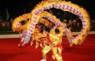 耍龙视频,揭秘耍龙视频中的传统魅力与技艺传承