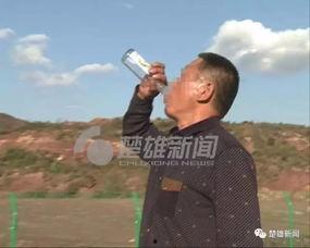 耍龙视频,揭秘耍龙视频中的传统魅力与技艺传承