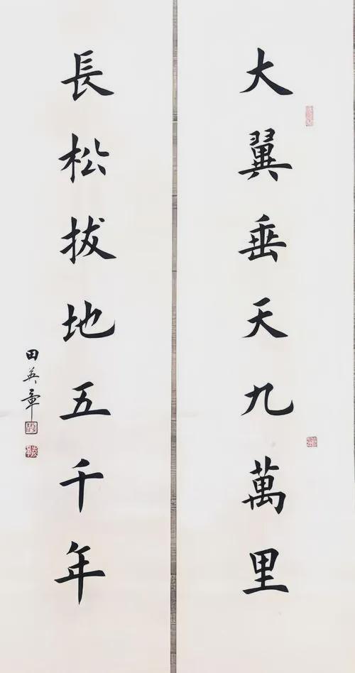 书法作品视频,书法艺术视频赏析