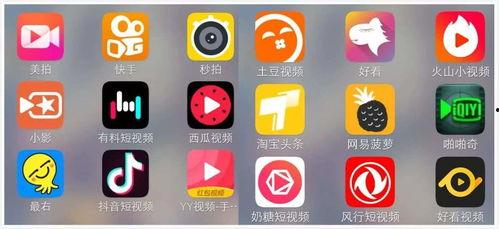 最火短视频,揭秘爆款背后的秘密