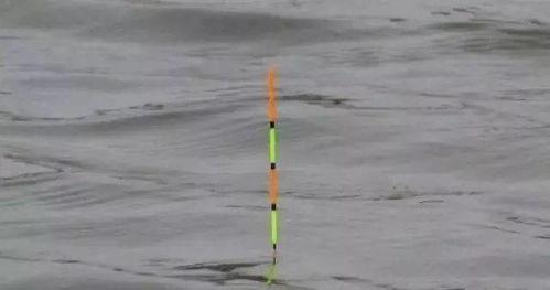 钓鱼怎么找底调漂视频,钓鱼找底调漂技巧视频解析