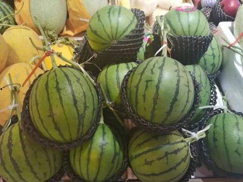 今日吃瓜小料,揭秘娱乐圈最新热点事件