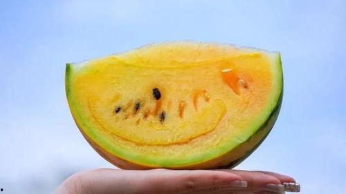 今日吃瓜小料,揭秘娱乐圈最新热点事件