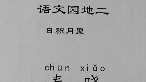 读唐诗视频,视频中的古典韵律与情感共鸣