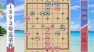 象棋解说视频,象棋解说视频深度解析