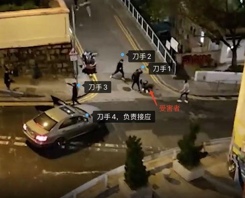 打刀视频,揭秘打刀视频中的技艺与激情