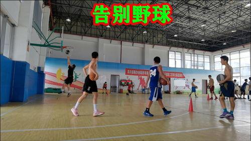 篮球培训视频,技巧提升与实战演练