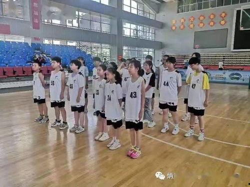 篮球培训视频,技巧提升与实战演练