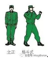 擒敌拳十六动教学视频,动作要领与实战技巧解析