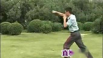 擒敌拳十六动教学视频,动作要领与实战技巧解析