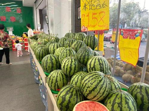 美都麒麟瓜今日价格,市场行情一览