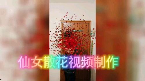 散花视频,捕捉生活中的美好瞬间