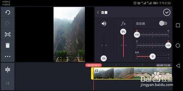 双视频,精彩瞬间背后的故事与启示