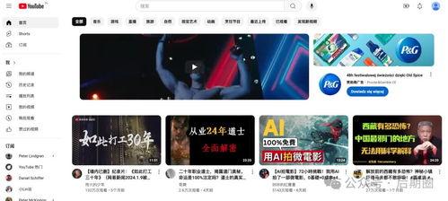 外国网站视频,探索全球视角下的热点话题