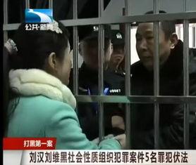 死刑视频,死刑视频背后的真相与反思
