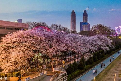 吃瓜爆料抖音奶茶,吃瓜爆料带你探秘网红饮品背后的秘密