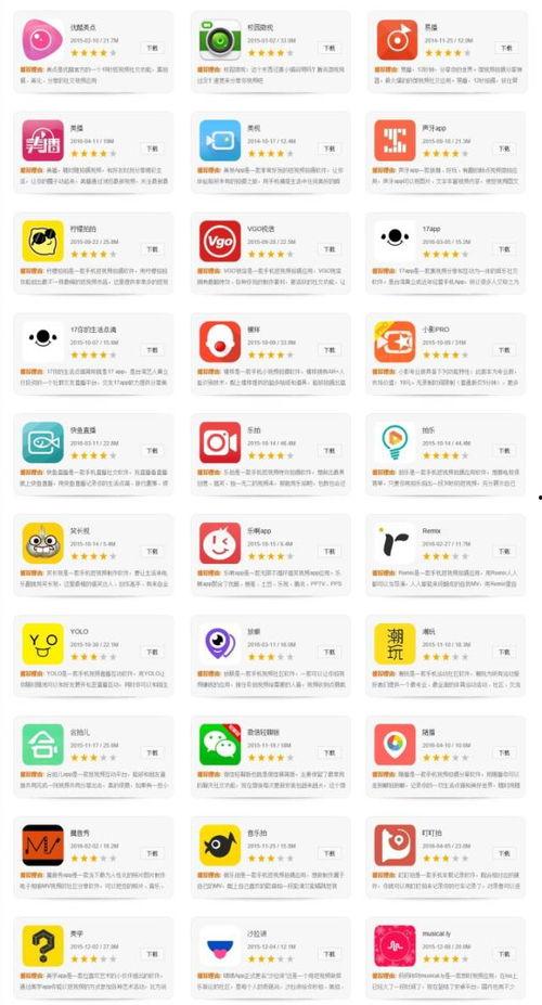 短视频项目,打造爆款内容，引领潮流风尚