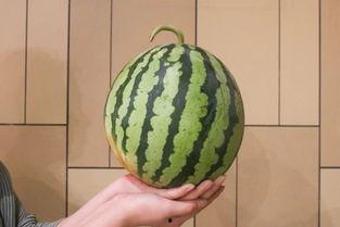 黑灰几十度 吃瓜,揭秘“吃瓜”背后的真相