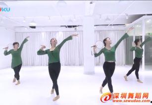 中国舞舞蹈教学视频,中国舞教学视频精华解析