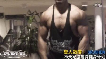 肌肉健身视频,跟随肌肉健身视频，解锁塑形秘籍