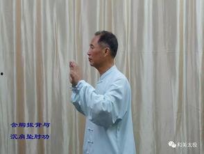 杨氏太极拳基本功视频,视频教程深度解析