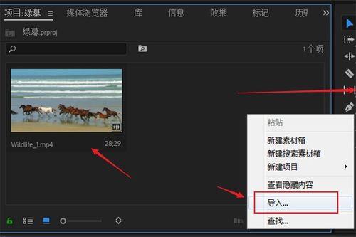 的图片和视频,图片与视频融合的创意概述
