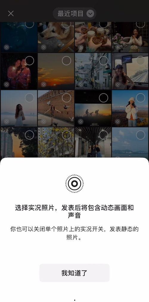 的图片和视频,图片与视频融合的创意概述