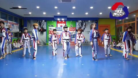 跆拳道舞蹈视频,激情四溢的武术与舞蹈融合之旅
