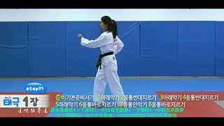 跆拳道舞蹈视频,激情四溢的武术与舞蹈融合之旅