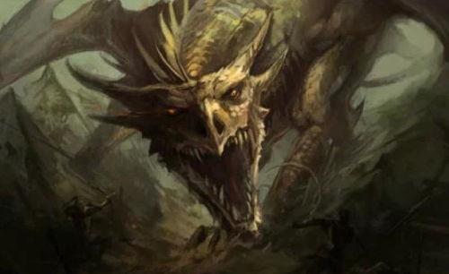 世界上有龙吗真实视频,探寻世界龙的存在之谜