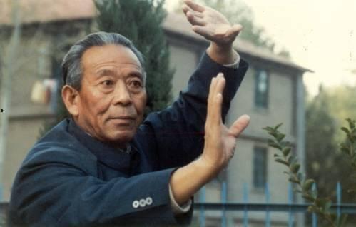 王培生技击视频,一招一式尽显中华武术精髓