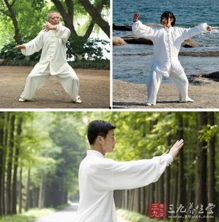 王培生技击视频,一招一式尽显中华武术精髓