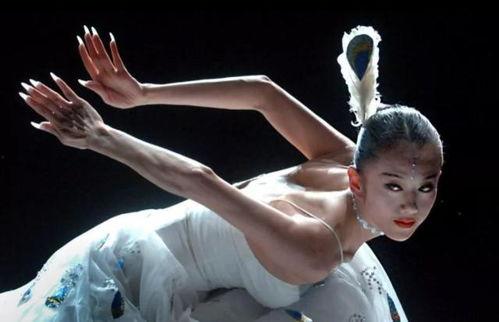 杨丽萍全部舞蹈视频,舞动生命，绽放民族风情